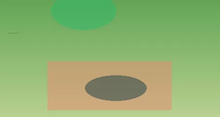 星空体育 半岛