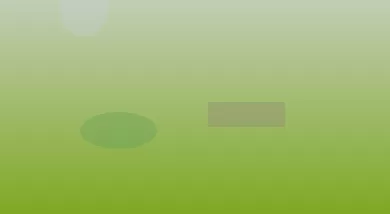 星空体育app