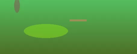 星空体育app