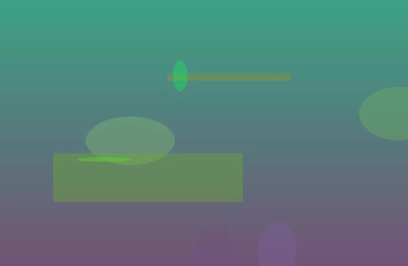 星空体育app