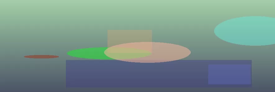 星空体育 半岛