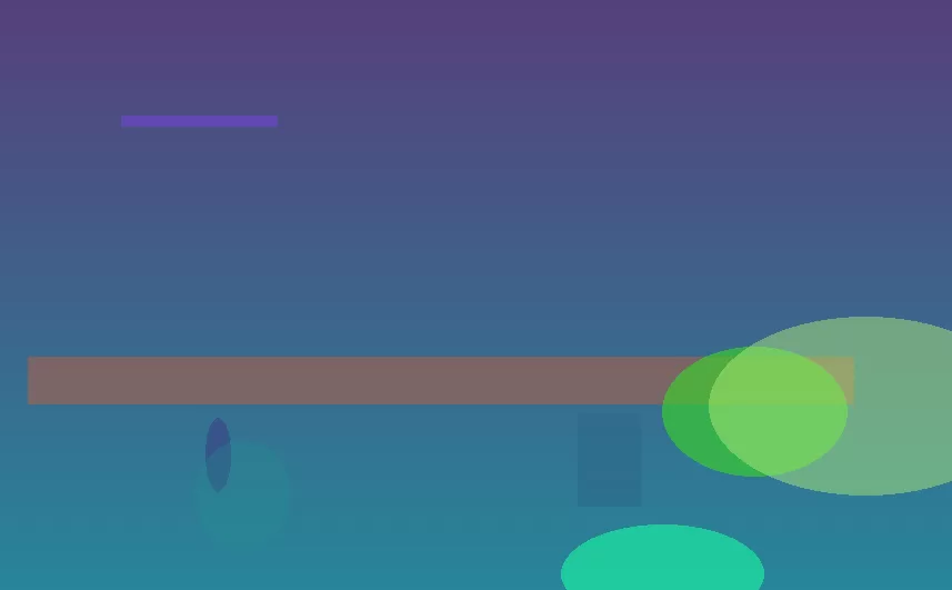 星空体育app
