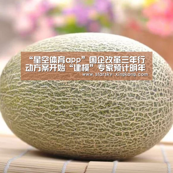 星空体育app登录